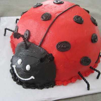 Lady Bug Smash Cake