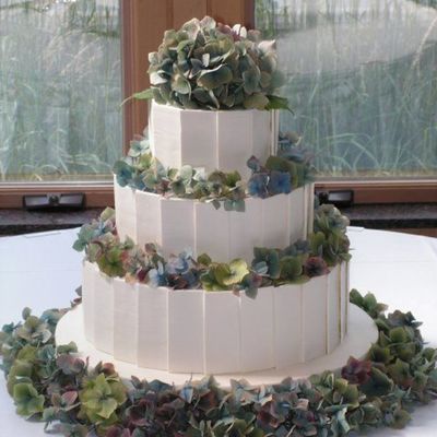 Chocolate Panel Hydrangea Ck