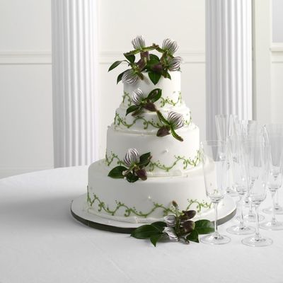 Lady Slipper Orchids (Fresh)