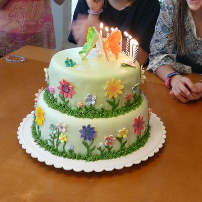Flower Butterfly Cake