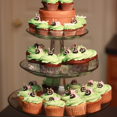 Baby Shower Cupcakes