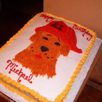 Golden Retriever Firehouse Dog