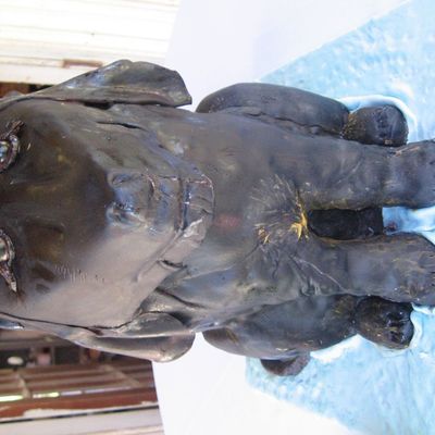 Coon Hound