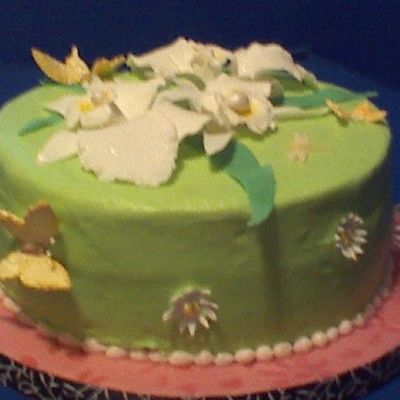 Orchids Daiseys Butterflies