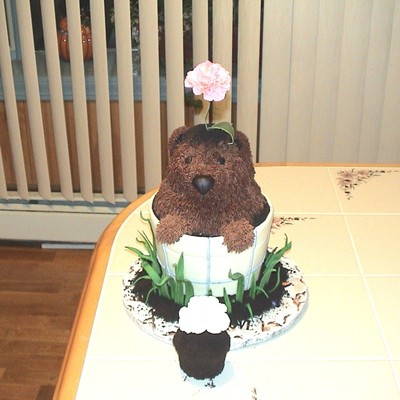 Groundhog Day Flower Pot Birthday Cake