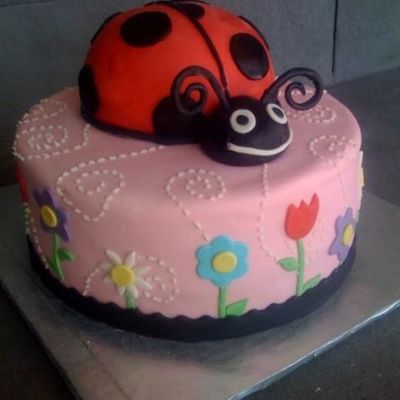 Ladybug Cake