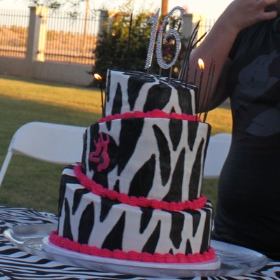 Topsy Turvy Zebra