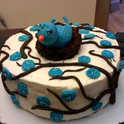 Blue Bird In A Nest.