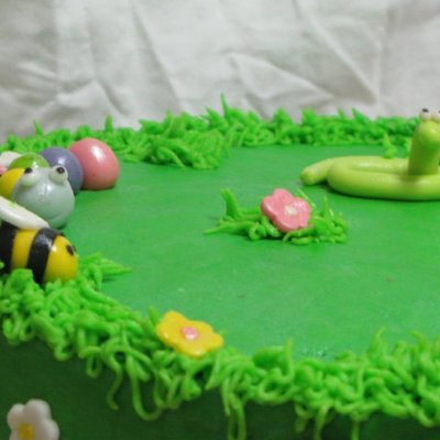 Bug Cake