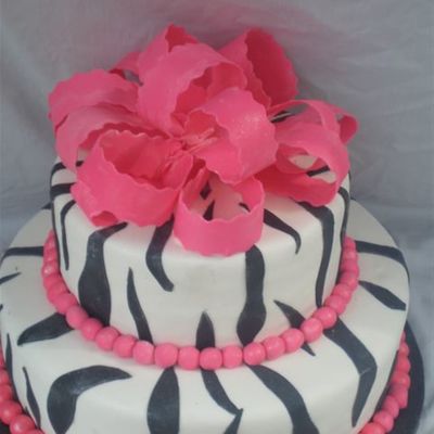 Zebra W/hot Pink Bow