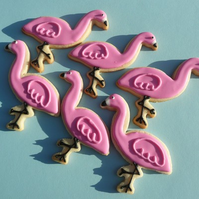 Flamingos