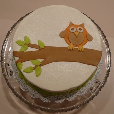 Becky52's Owl Cake