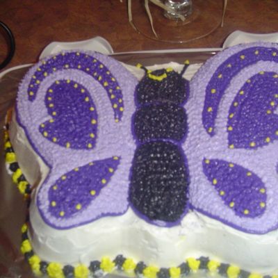 Butterfly Cake