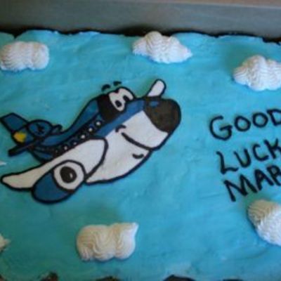 Goodbye From Airline Job