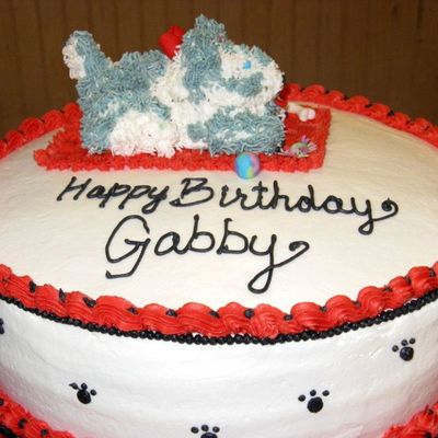 Husky Puppy On A Round Cake