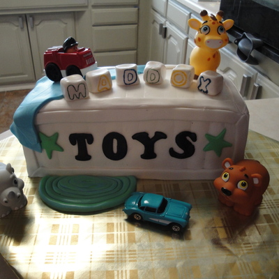 Baby's First Birthday