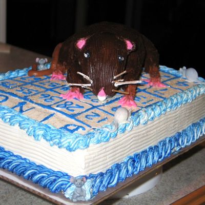 Rat On A Bingo Card Birthday Cake