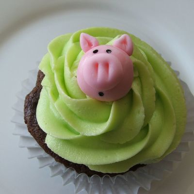 Pig