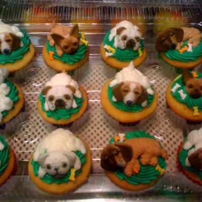 Dog Cupcakes