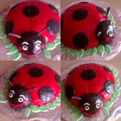Ladybug Cake