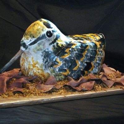 American Woodcock Timberdoodle