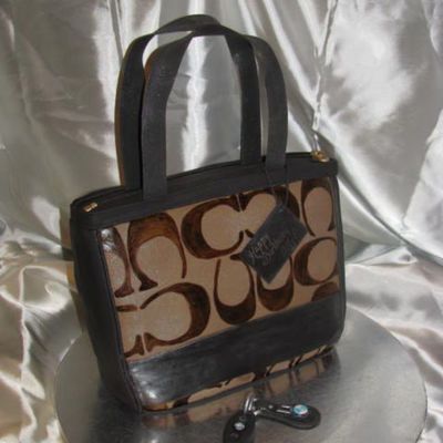 Coach Purse Bmw Keys