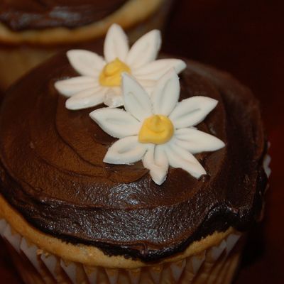 Daisy Cupcakes