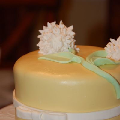 Little Yellow Cake