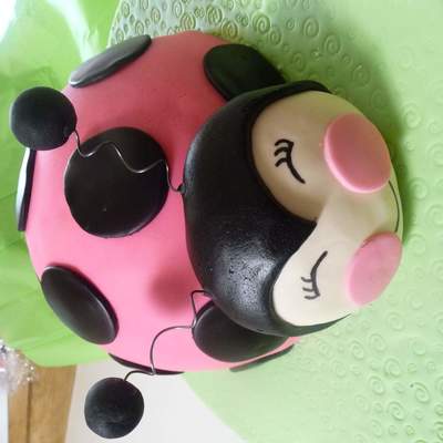 Pink Ladybug Cake