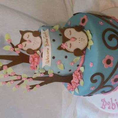 Owl Themed Shower Cake