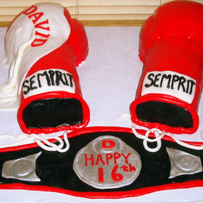 16 Year Old, Boxing Gloves