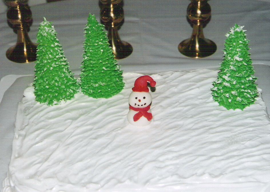 My First Christmas Cake....