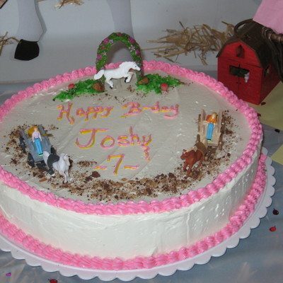 I Made This Cake For My Niece.