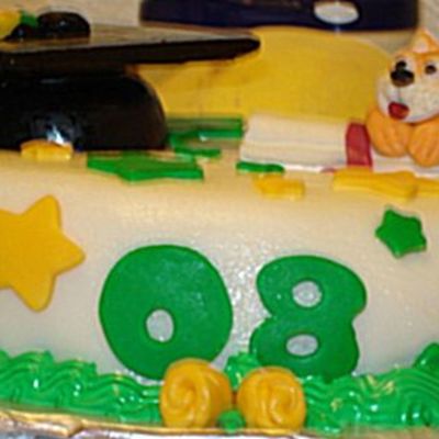 2008 Graduation Cake
