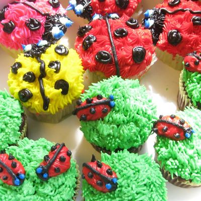 Lots Of Lady Bugs....