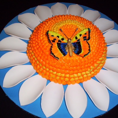 Butterfly Cake August 2010
