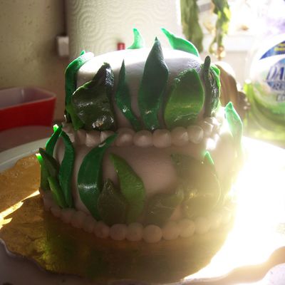 First Attempt With Fondant