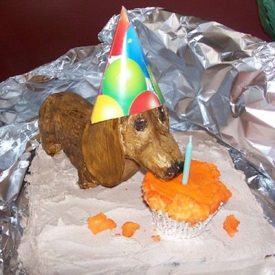 Happy Birthday Dashound