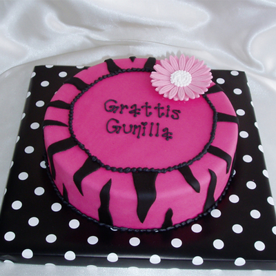 Pink And Black Zebra Stripes