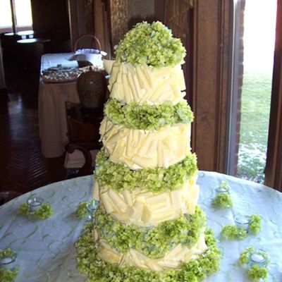 White Chocolate Cake, Close-Up