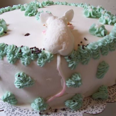 Mouse Cake