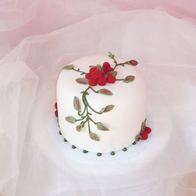 Raspberry Vine Cake