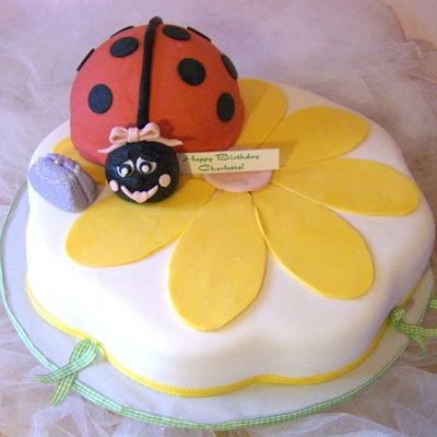 Lady Bug Cake