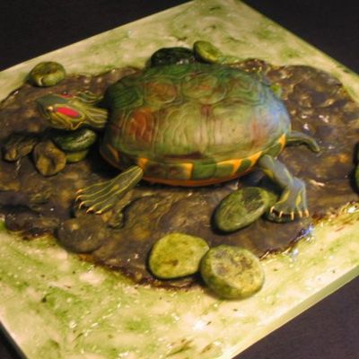 Turtle Cake