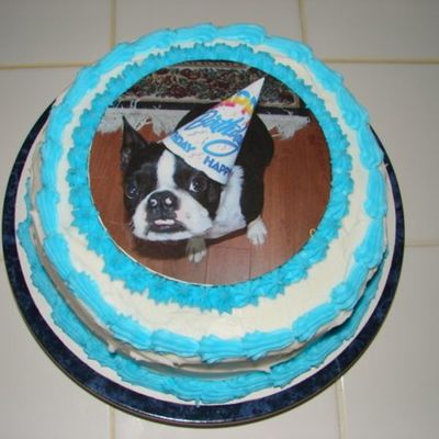 Bailey's Birthday