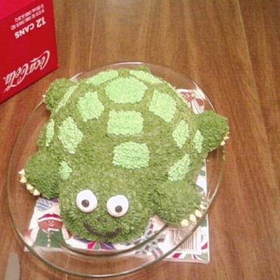 Timmy The Turtle