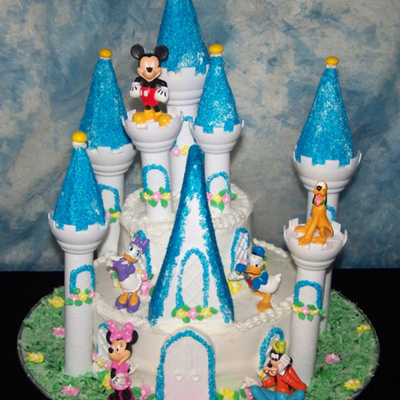 Disney Castle