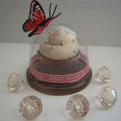 Butterfly Cupcake