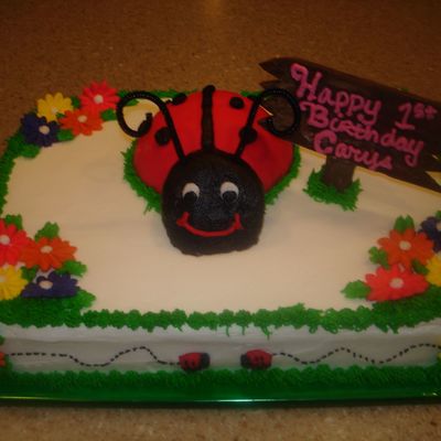 Laby Bug Cake