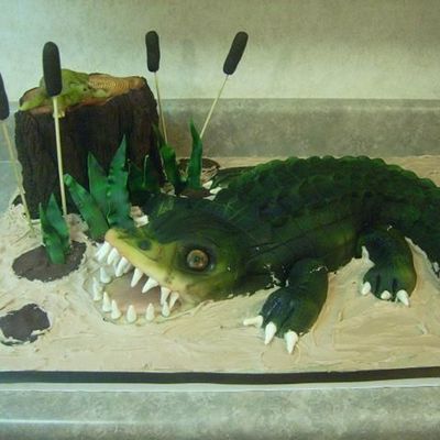 Alphonse The Swamp Gator!